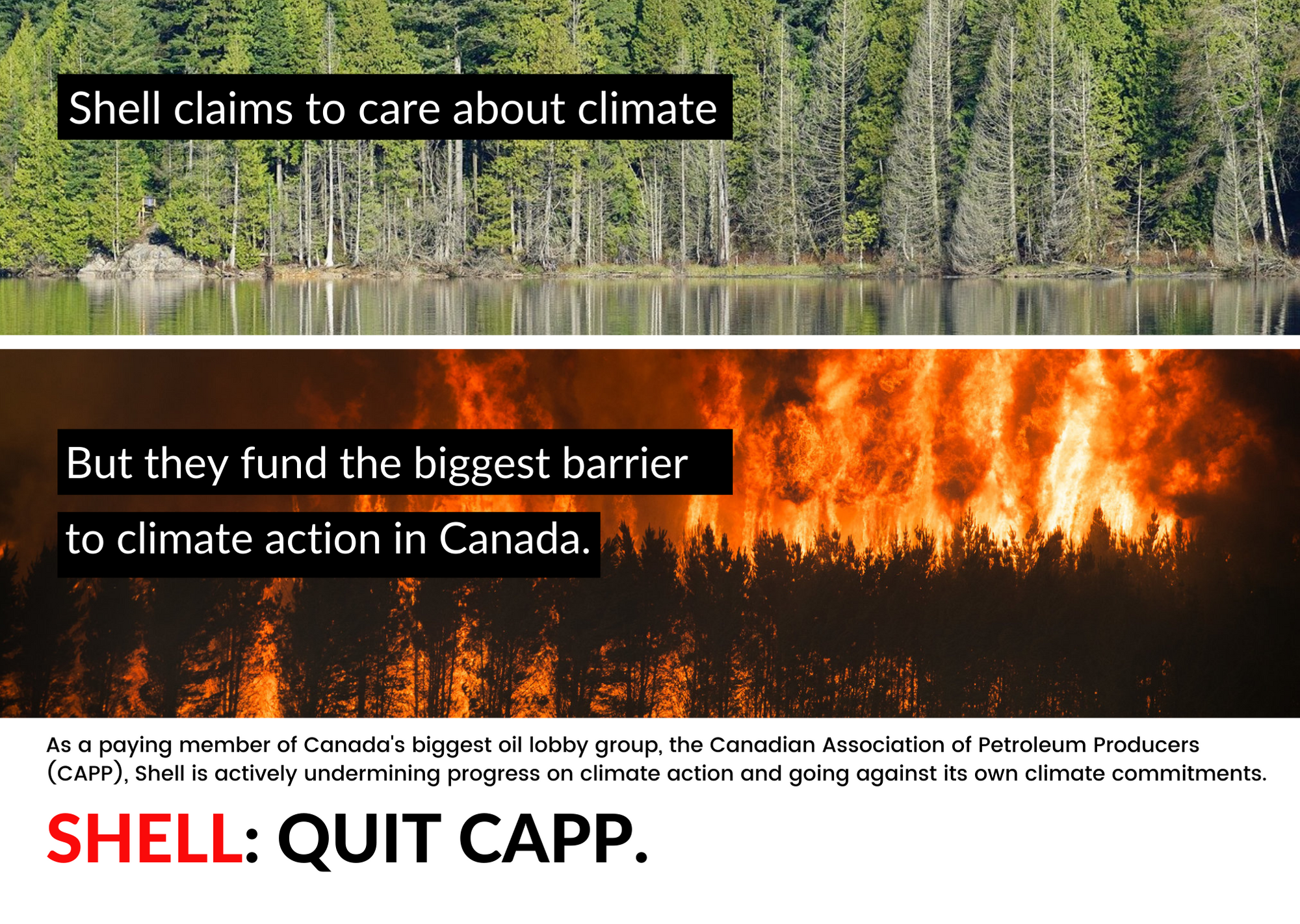 Ad calling on Shell to quit CAPP